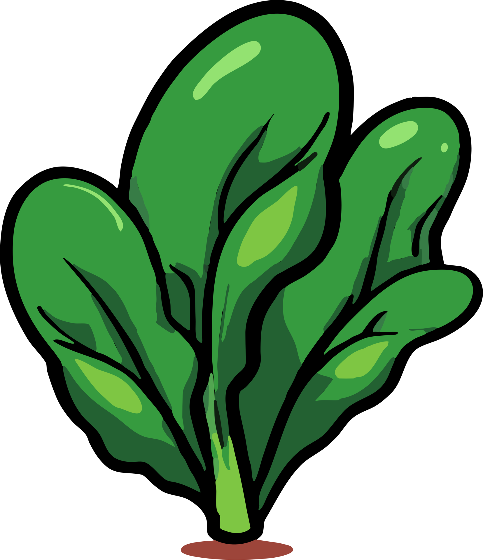 spinaci png grafico clipart design 23623350 PNG