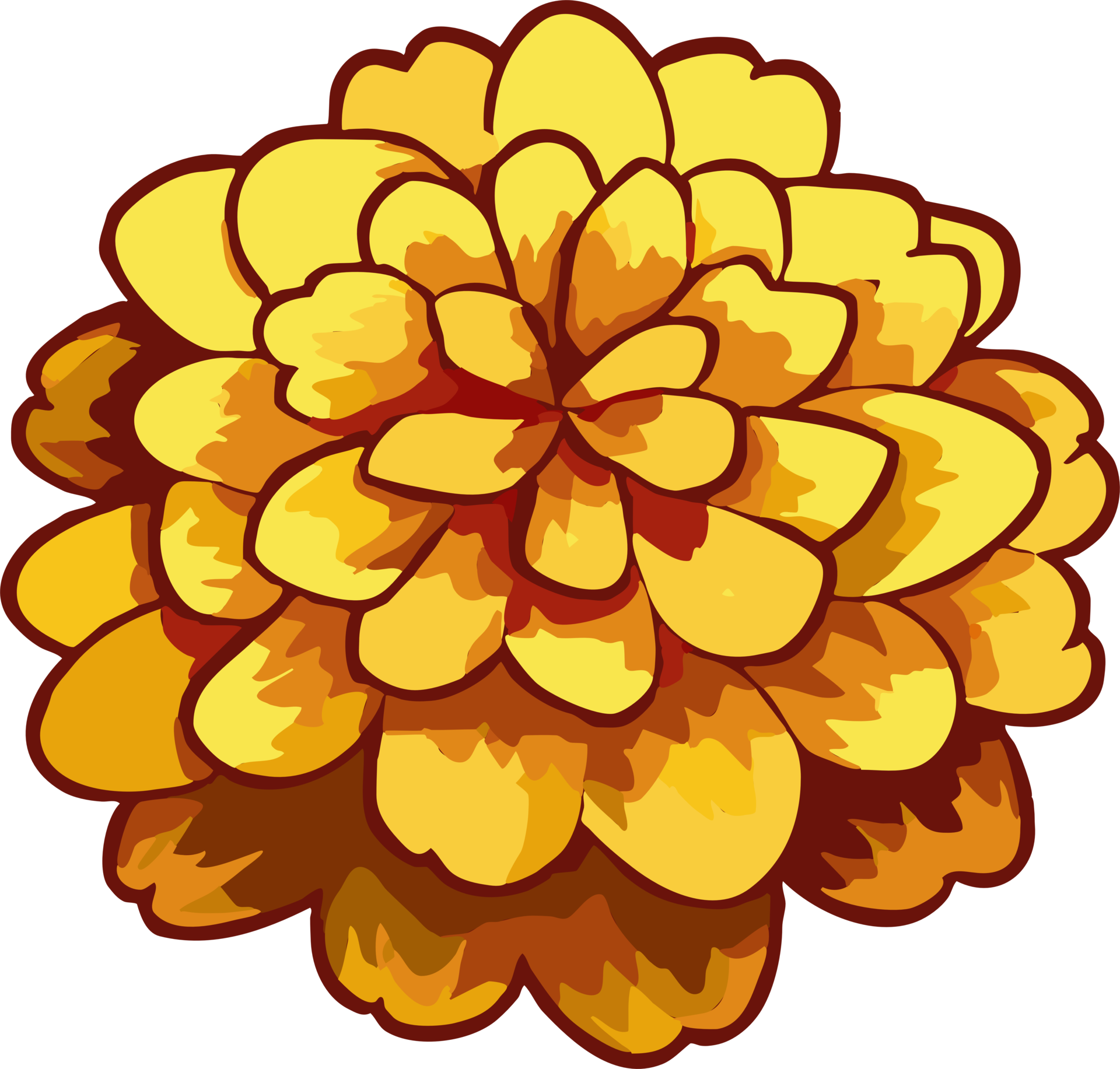 marigold png graphic clipart design Free PNG