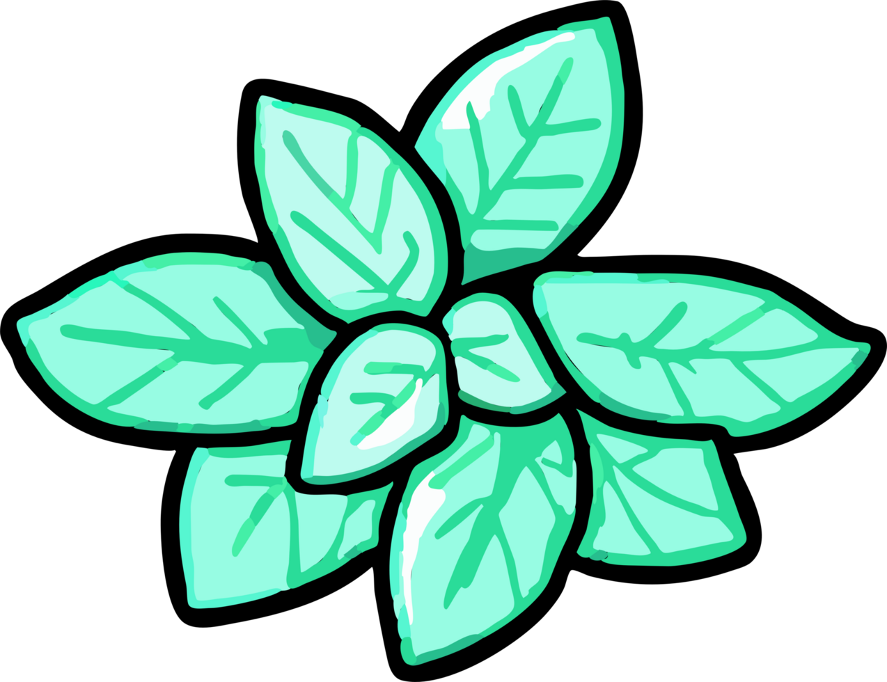 mint png graphic clipart design