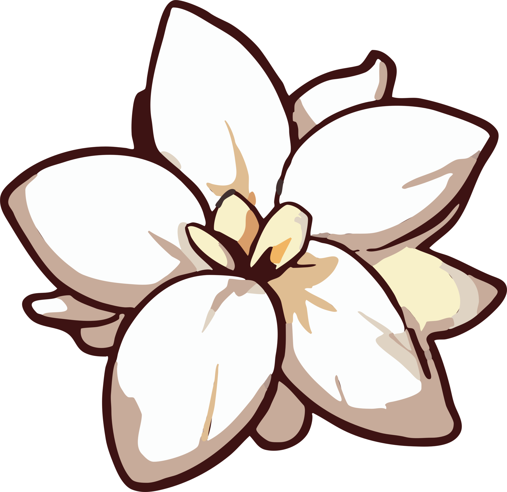 jasmine png graphic clipart design 23623363 PNG