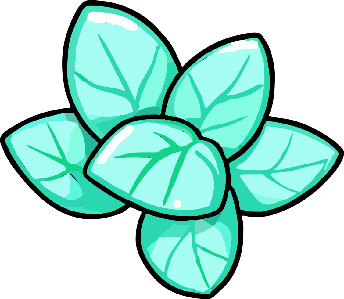 mint png graphic clipart design