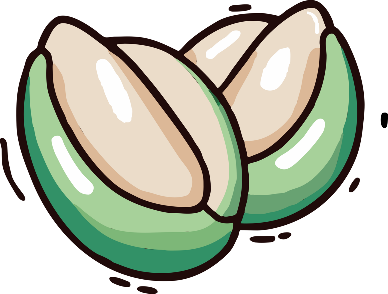 pumpkin seed png graphic clipart design