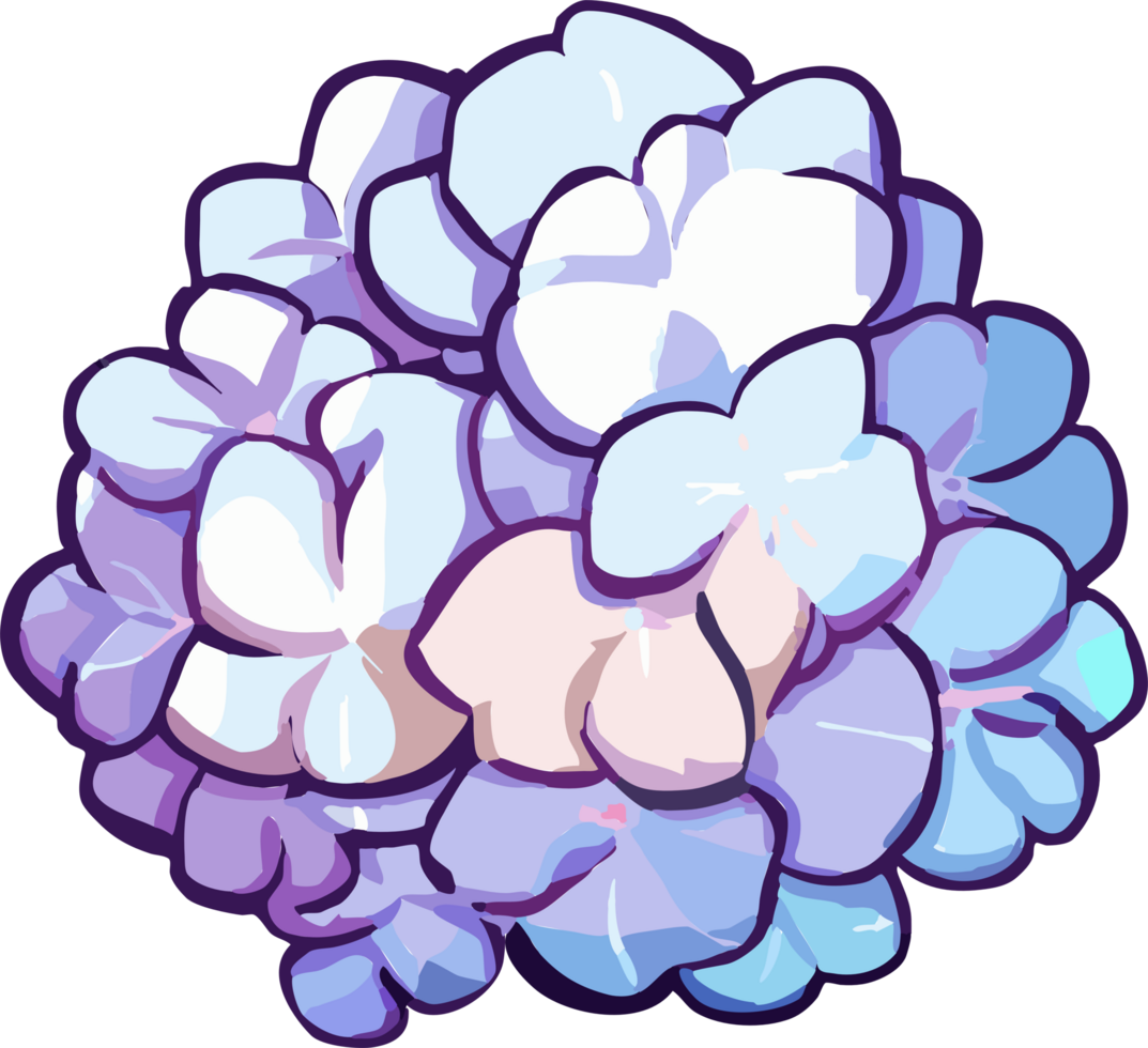 hydrangea png graphic clipart design