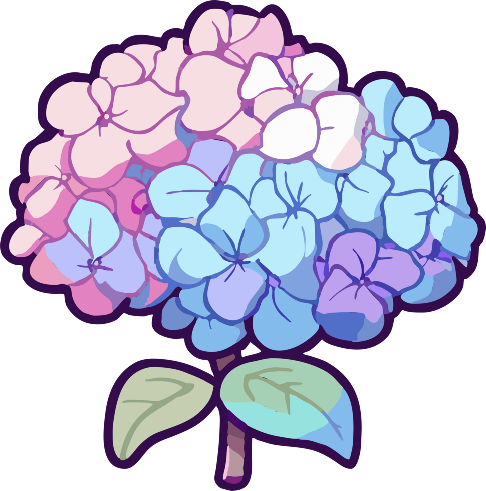 hydrangea png graphic clipart design
