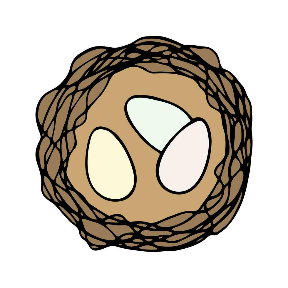 Hand drawn simple easter eggs in the nest. vector