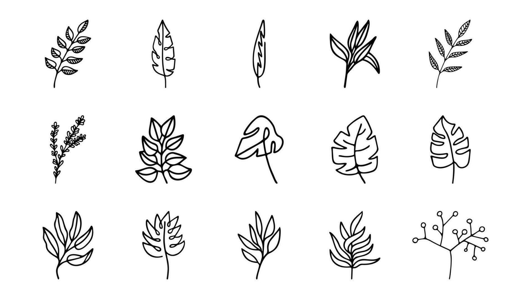 Hand drawn herbal, floral clipart collection. One line doodle vector set