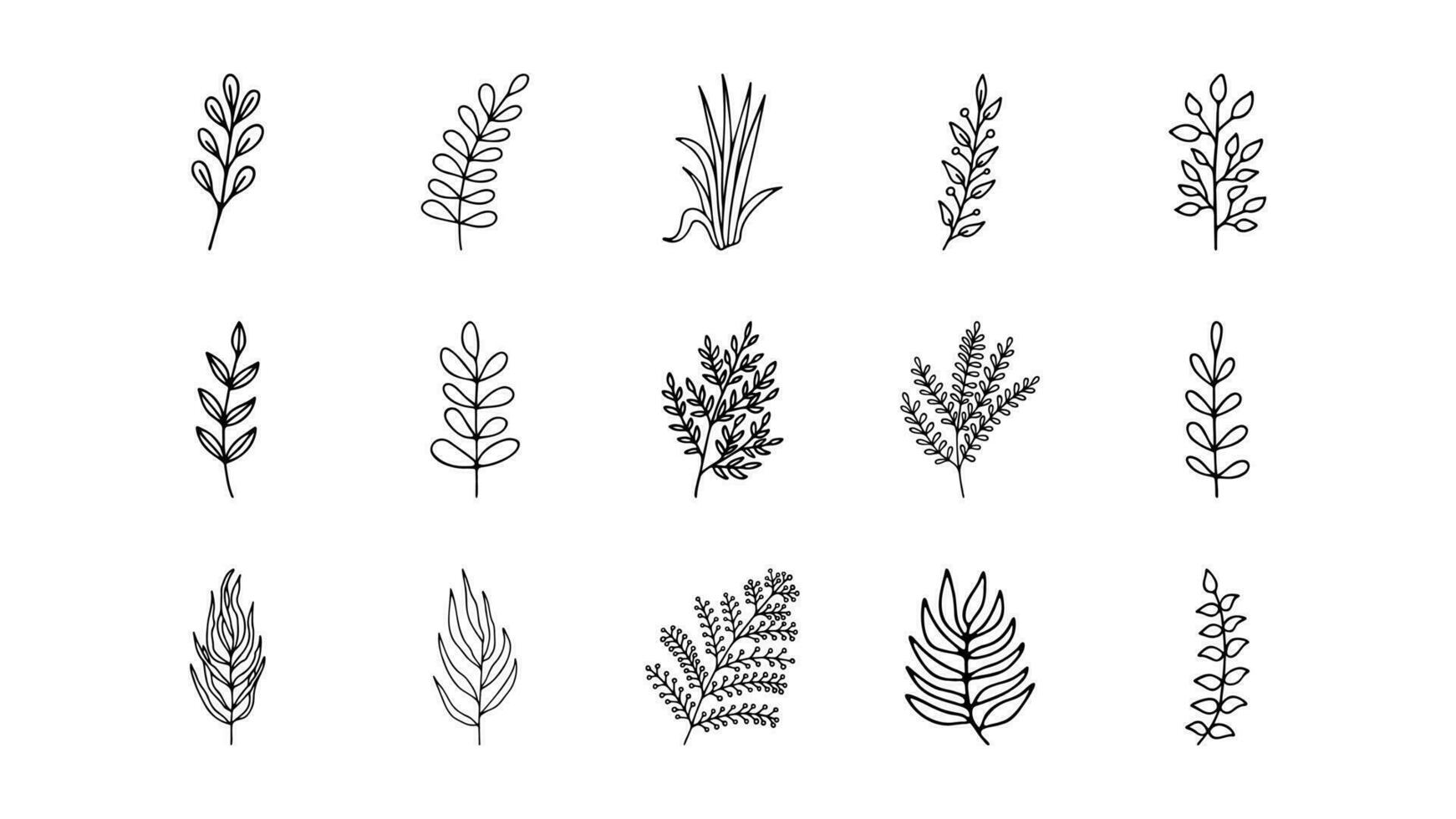 Hand drawn herbal, floral clipart collection. One line doodle vector set