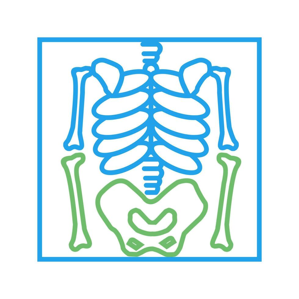 Skeleton Vector Icon