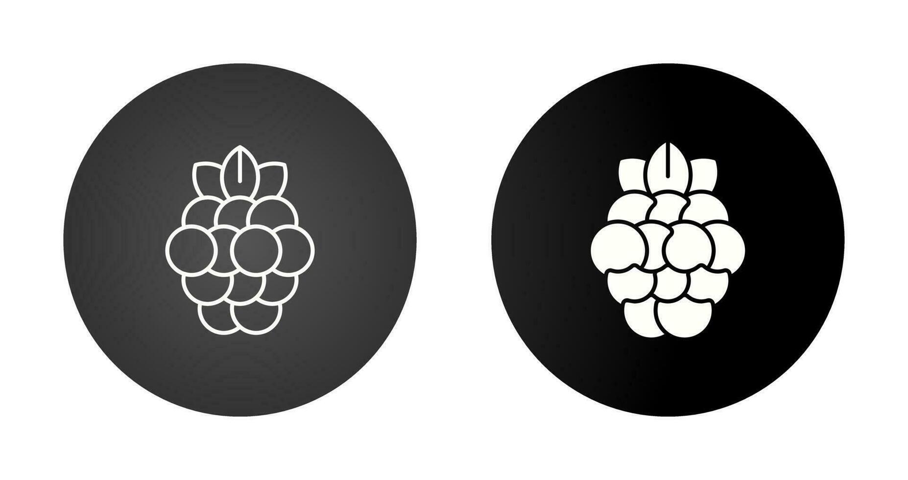 Raspberry Vector Icon