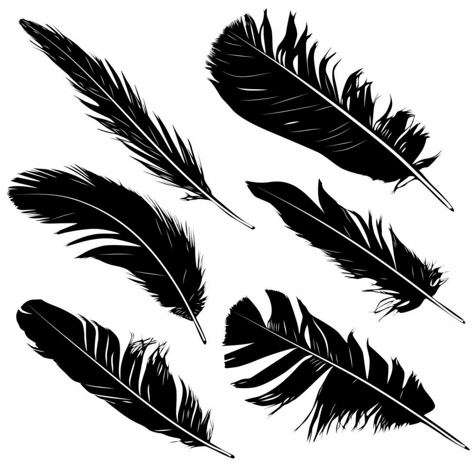 collection of magnificently detailed feathers, logos, icons vector