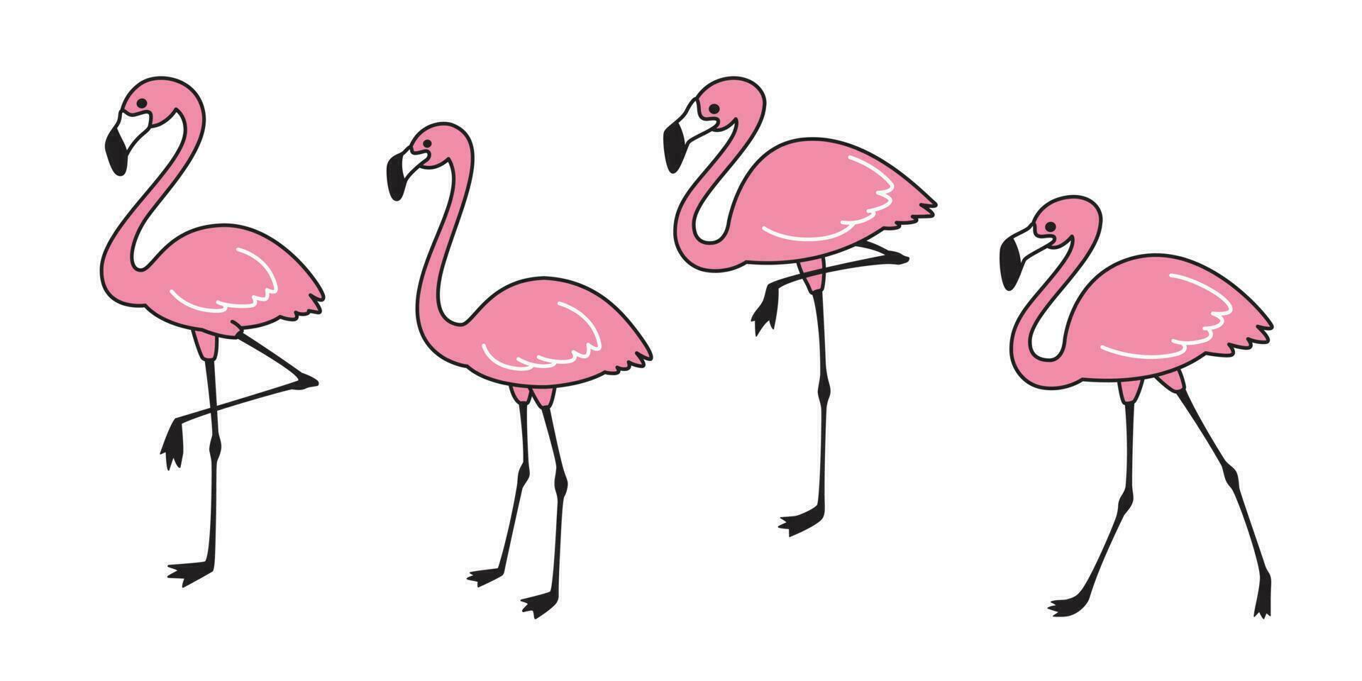 flamingo vector set Cute flamingos collection Flamingo animal exotic nature wild fauna illustration
