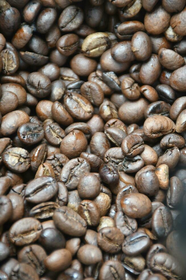 Robusta coffee beans have been freshly roasted. photo