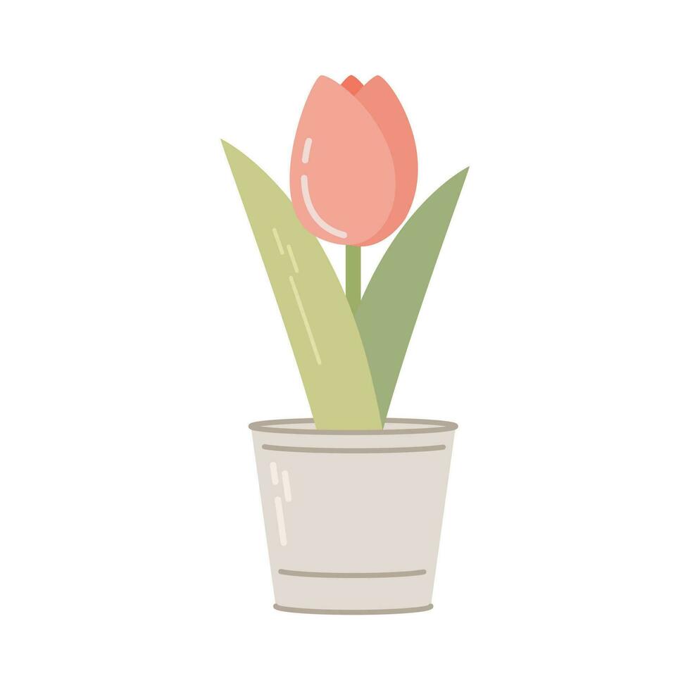 Metal pot with tulip isolated on white background. Seasonal garden work. Spring vector llustration.