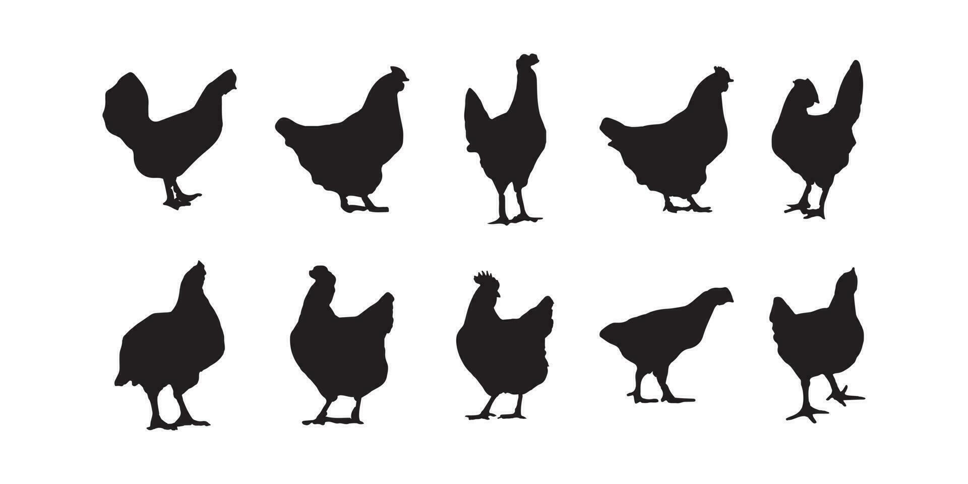 gallina, parrilla, pollo siluetas vector ilustrador eps10
