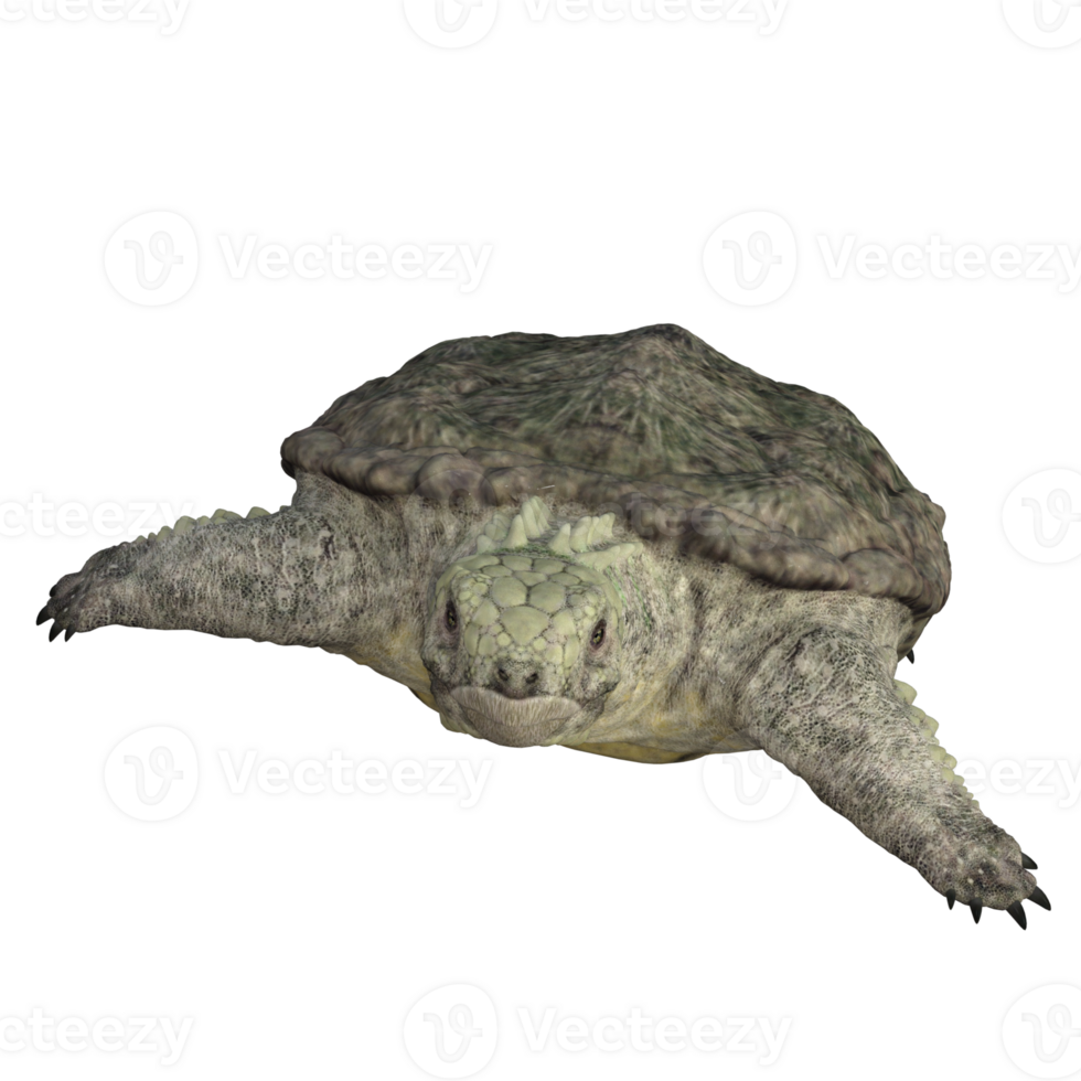 Proganochelys isolated 3D render png