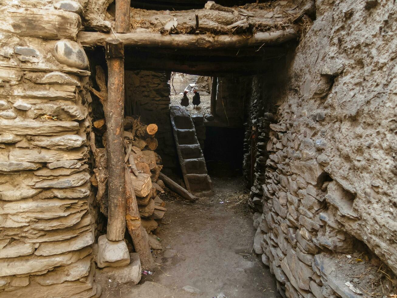 An old house with ancient mud-caked stone walls with a small wooden staircase and two chickens in the village of Kagbeni in Mustang in the Nepal Himalaya. photo