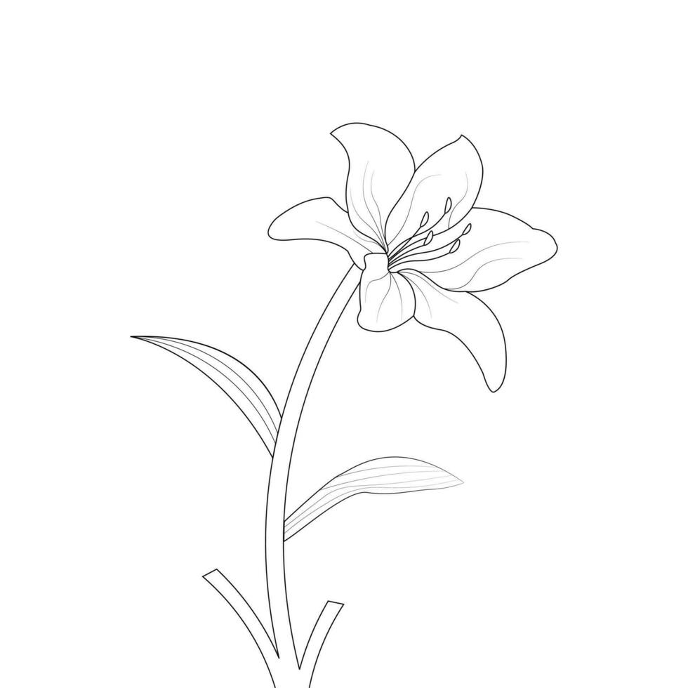 Lily Flower Coloring Page And Book Hand Drawn Line Art Illustration vector