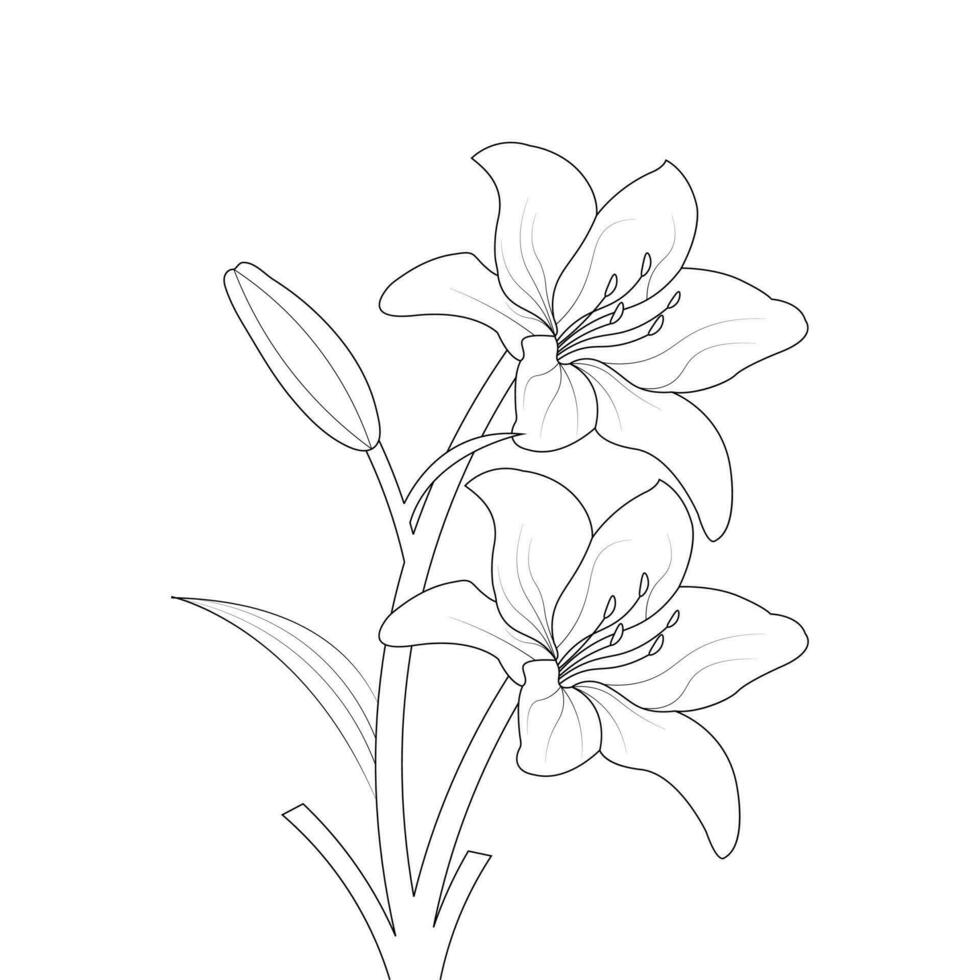 Lily Flower Coloring Page And Book Hand Drawn Line Art Illustration vector