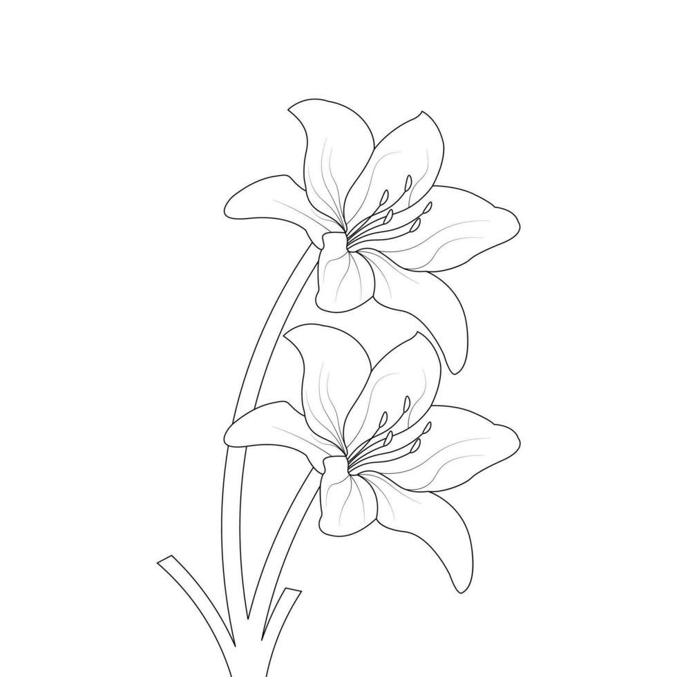 Lily Flower Coloring Page And Book Hand Drawn Line Art Illustration vector