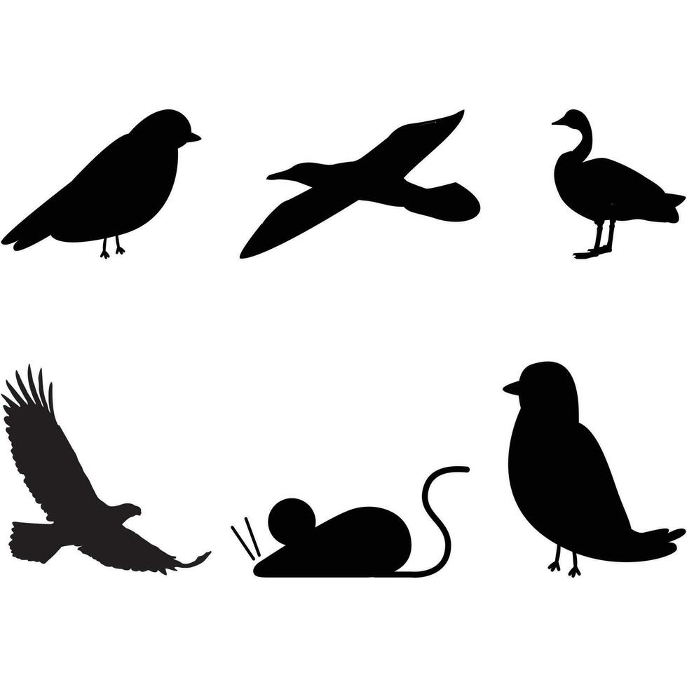 Bird Nerd Silhouette Different Kinds of Bird Birds Silhouette Vector Cute Bird Lover Gift