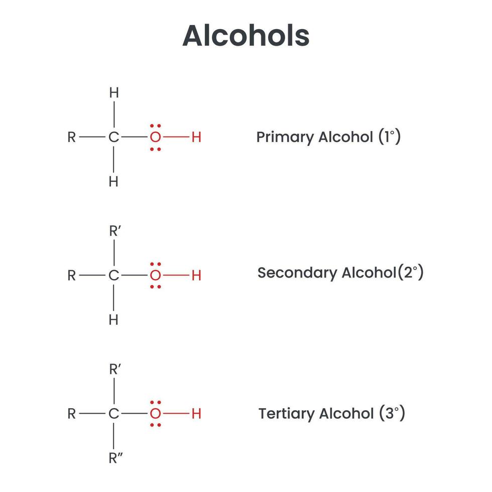 Alcohol Biochemistry Functional Group vector infographic