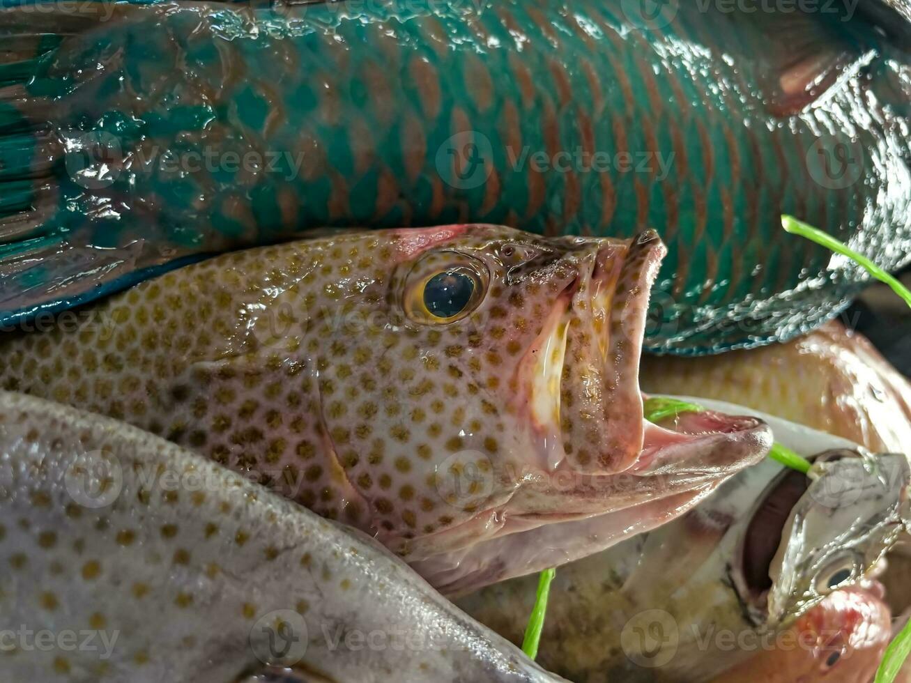 cerca arriba de agrupador pescado a el pueblo mercado, mahe seychelles foto