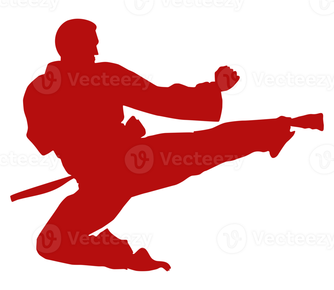 Silhouette of Martial Artist Kick, Taekwondo, Karate, Pencak Silat, Kungfu, for Logo or Graphic Design Element. Format PNG