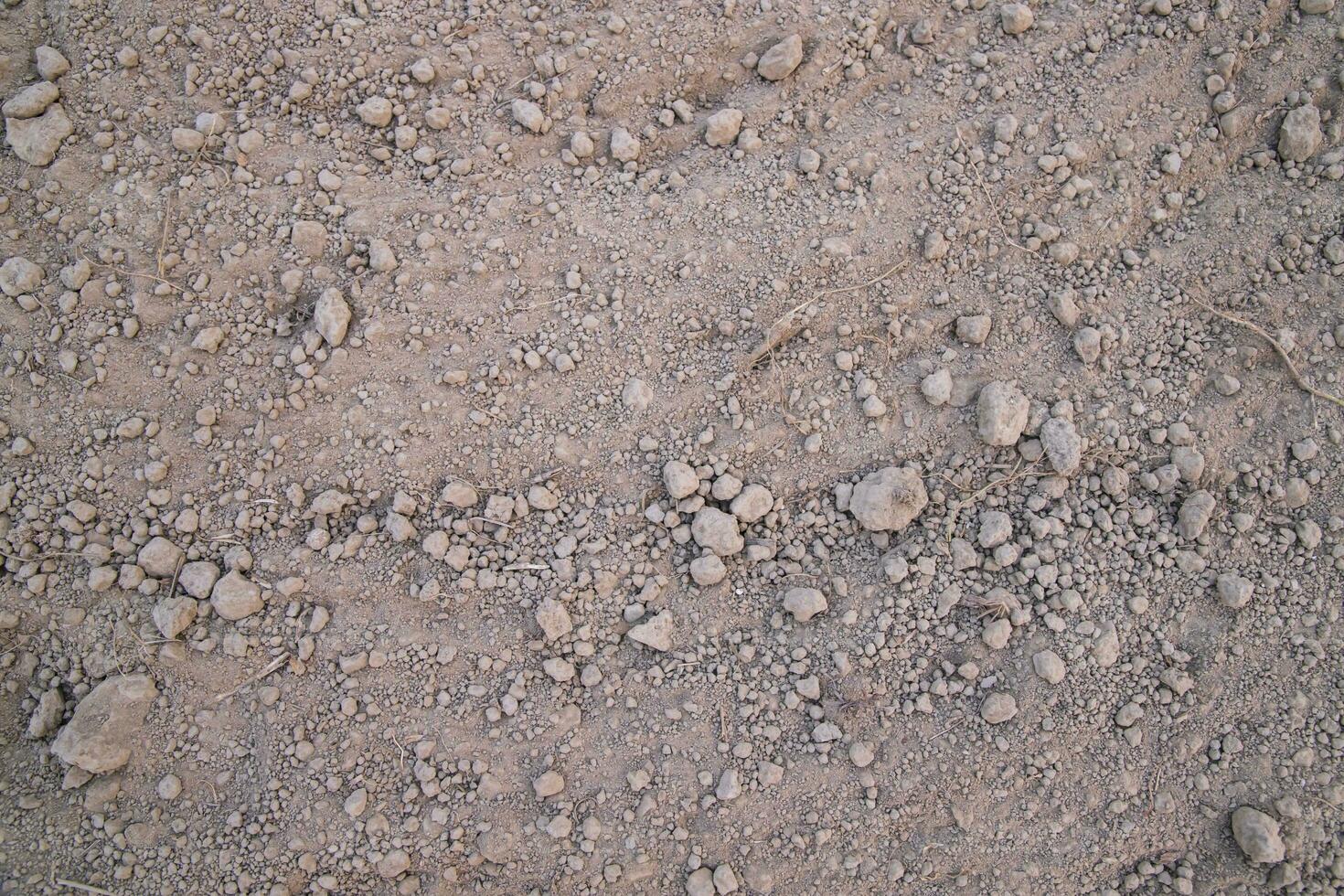 Brown crushed soil peat field texture may be used as a  background wallpaper photo