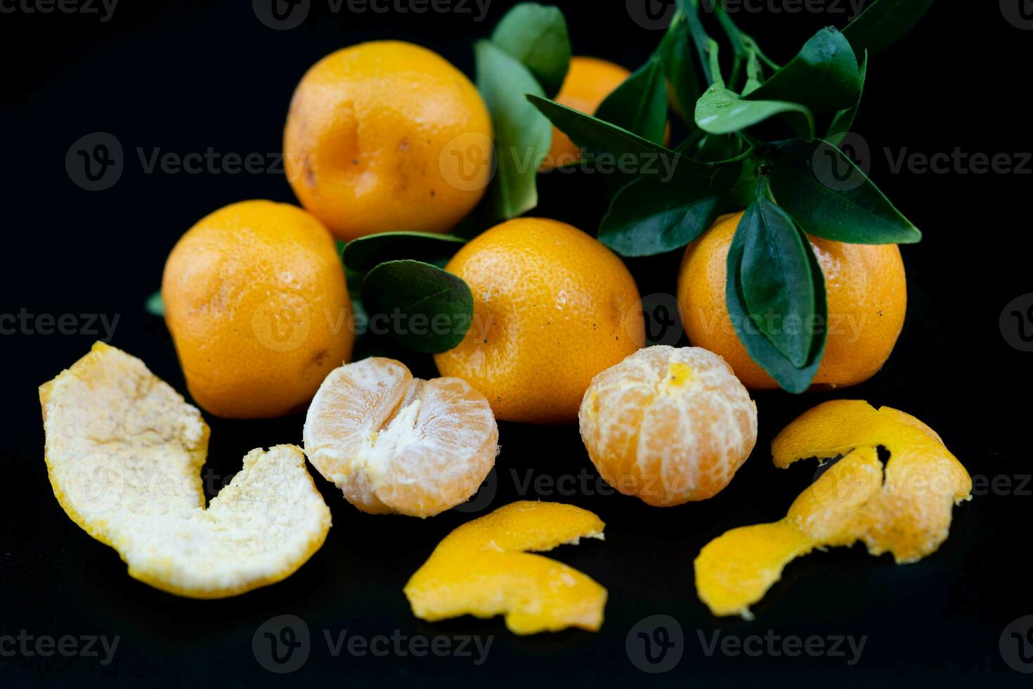 The Calamondin Orange nitro fortunella macrocarpa is a hybrid of mandarin an cumquat photo