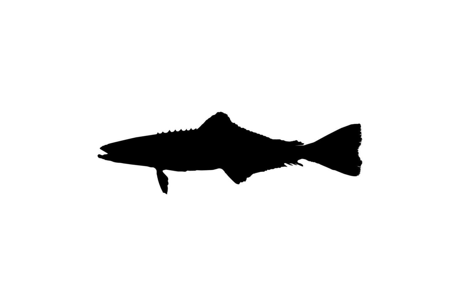 Cobia Fish Silhouette, also known as black kingfish, black salmon, ling, lemonfish, crabeater, prodigal son, codfish, and black bonito. Vector Illustration