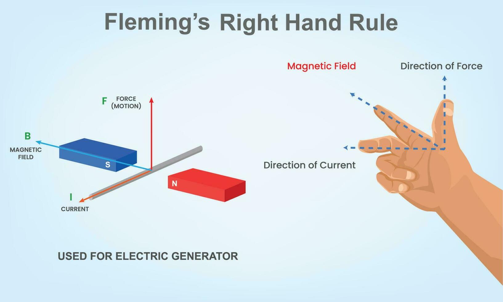 flamenco Derecha mano regla en física frhr vector