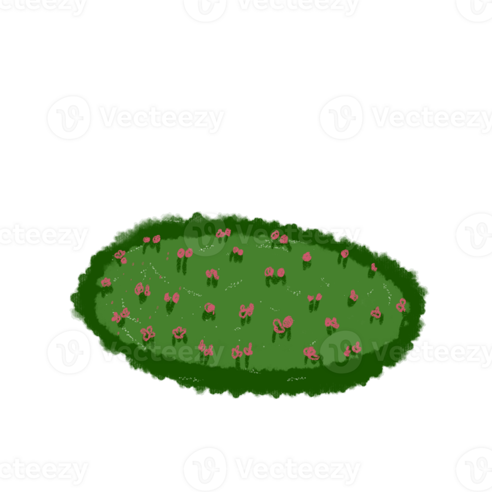 green grass with flowers png