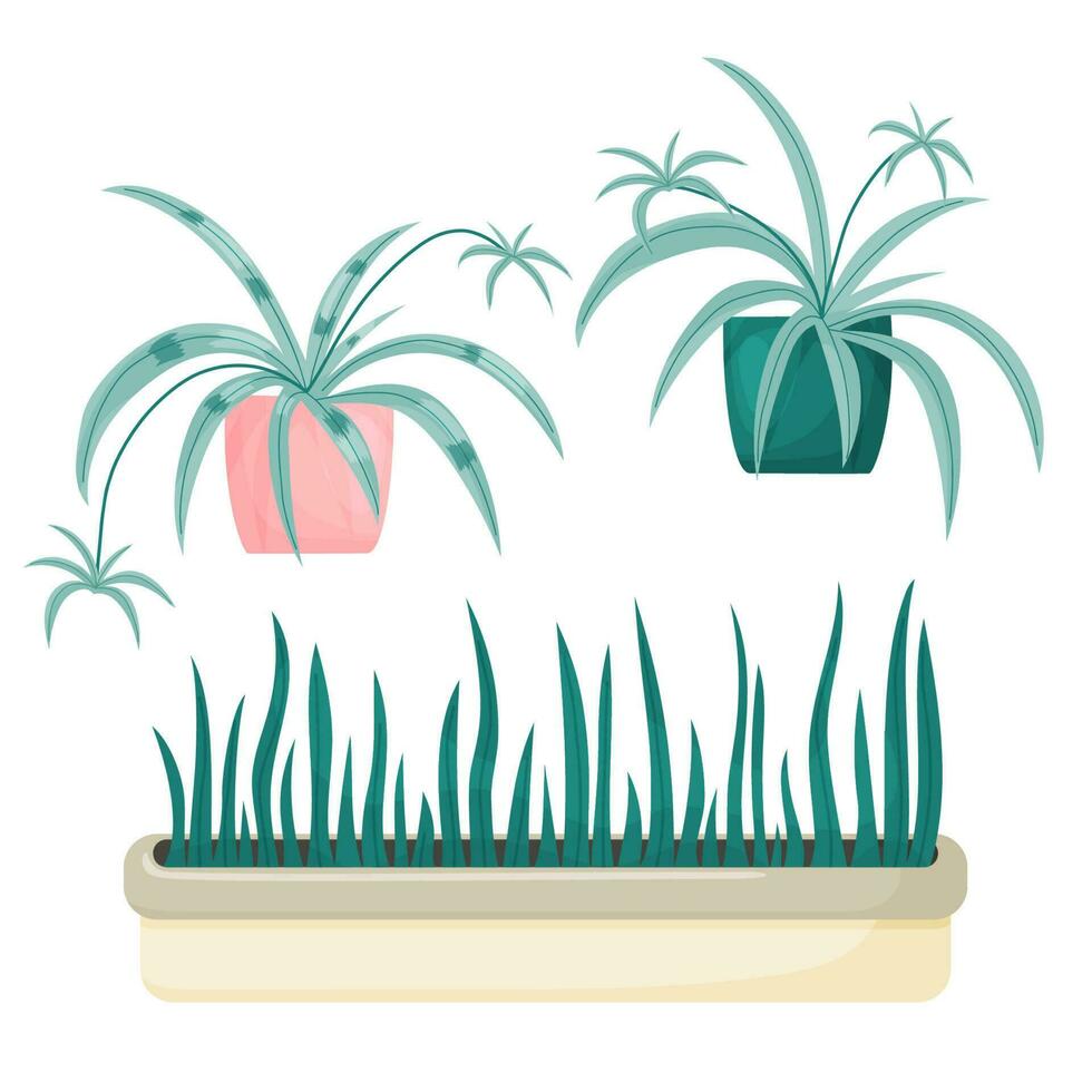 Home Flowers houseplants. Vector hand drawn illustration.