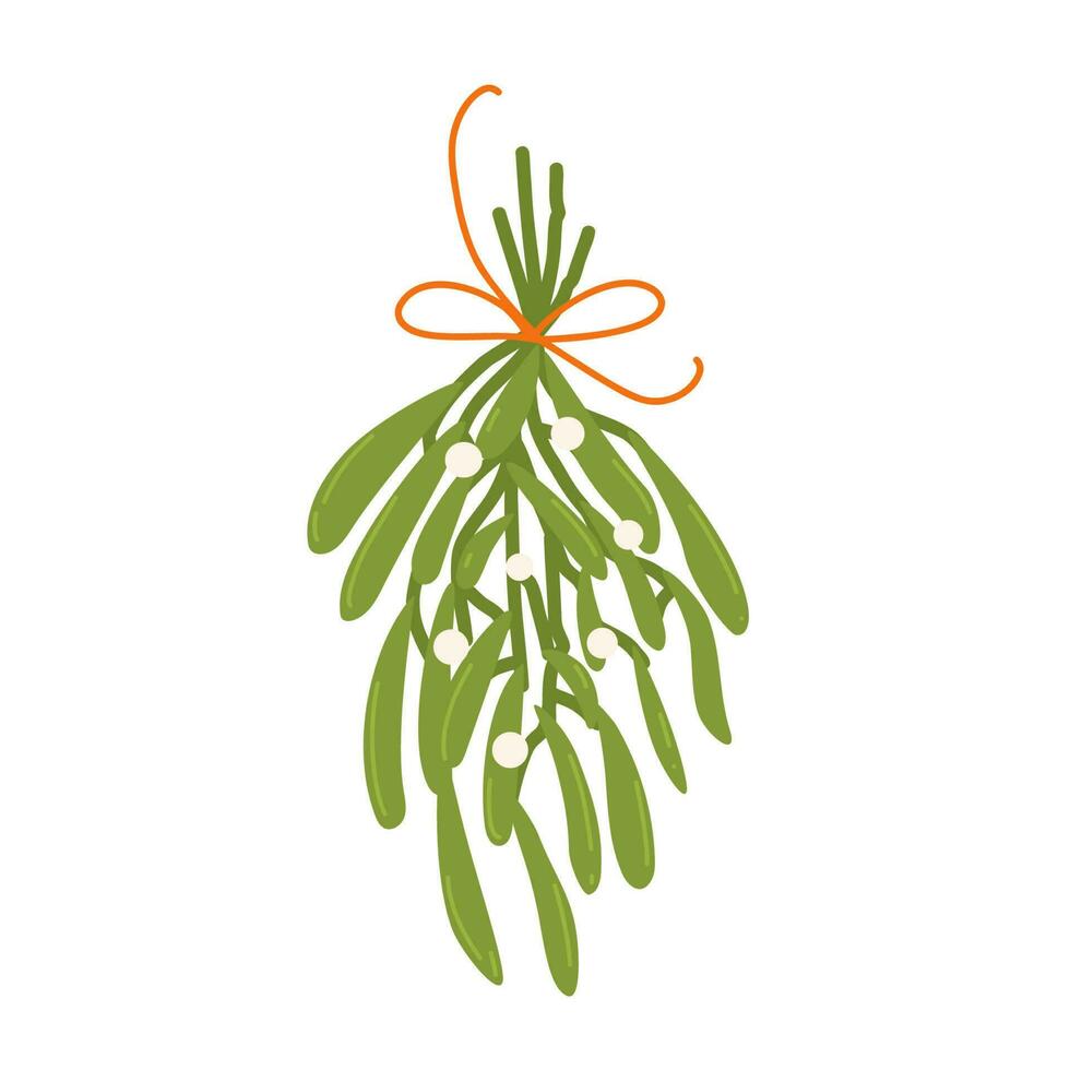 Mistletoe Christmas decoration. Isolated vector hand drawn element.