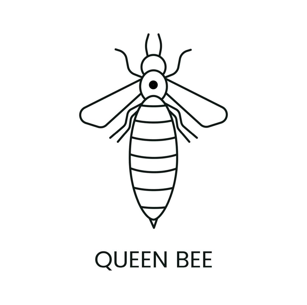 reina abeja icono en líneas, vector ilustración