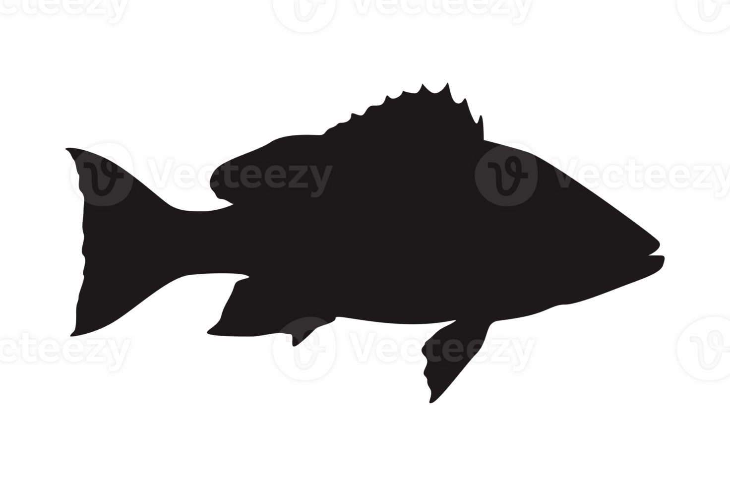 Sea Fish Silhouette On Transparent Background png