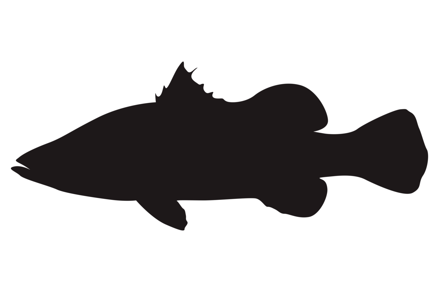 Sea Fish Silhouette On Transparent Background 23629549 PNG