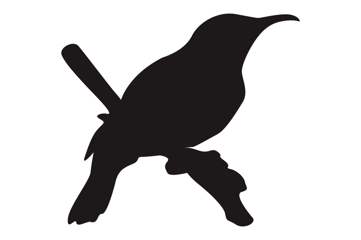 Perched Bird Silhouette On Transparent Background png