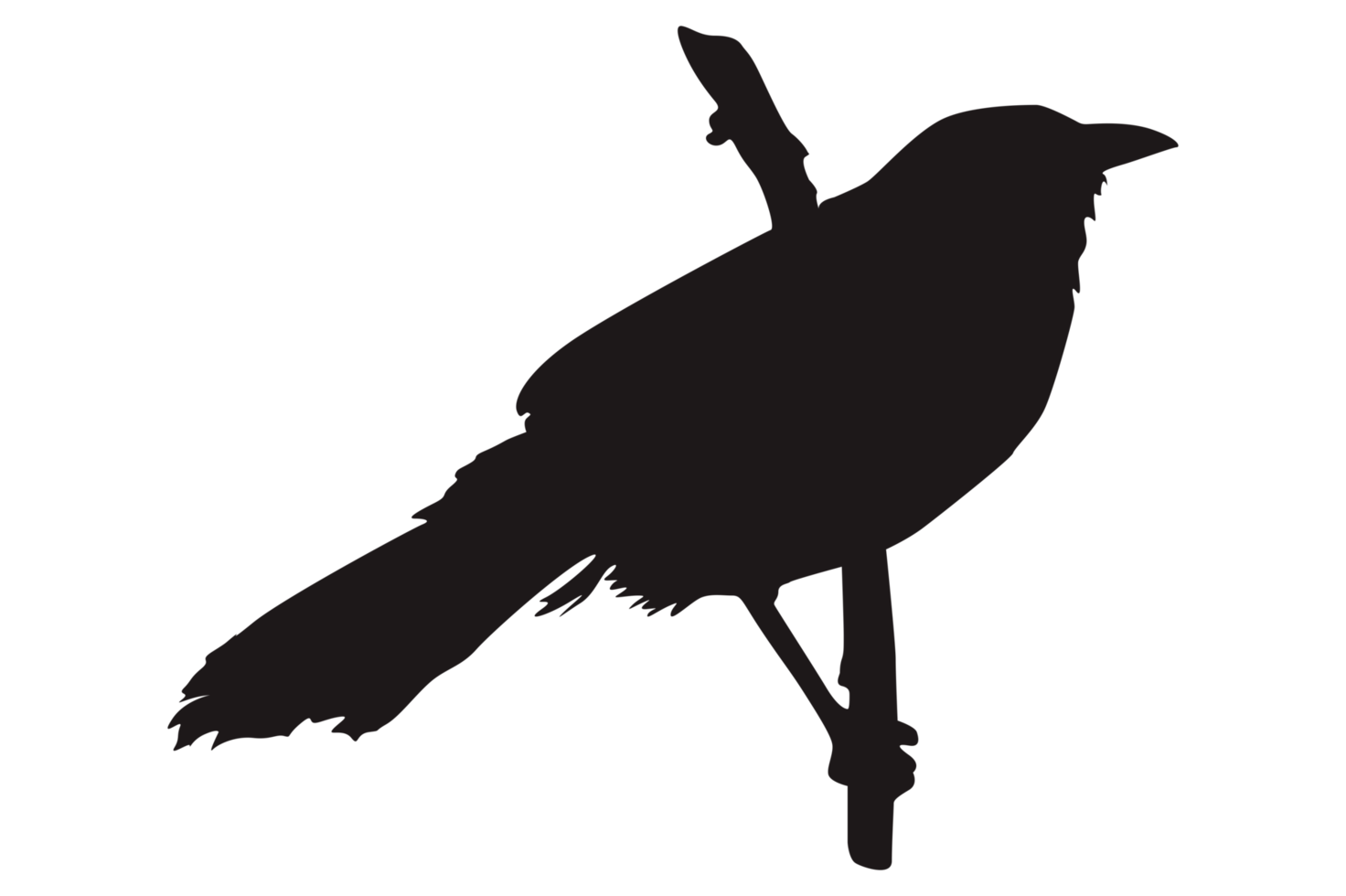 Perched Bird Silhouette On Transparent Background png