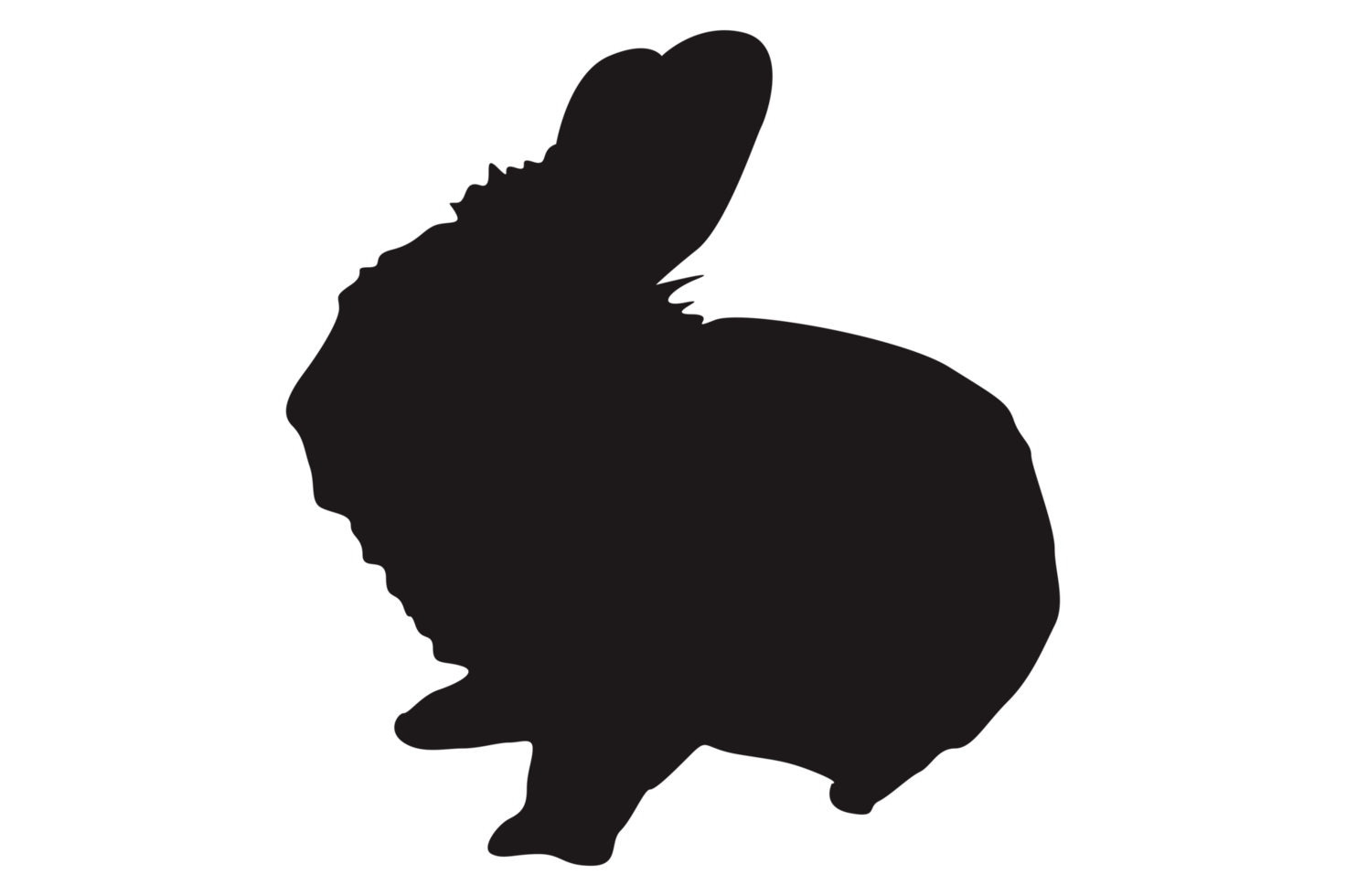 Rabbit Silhouette With Transparent Background png
