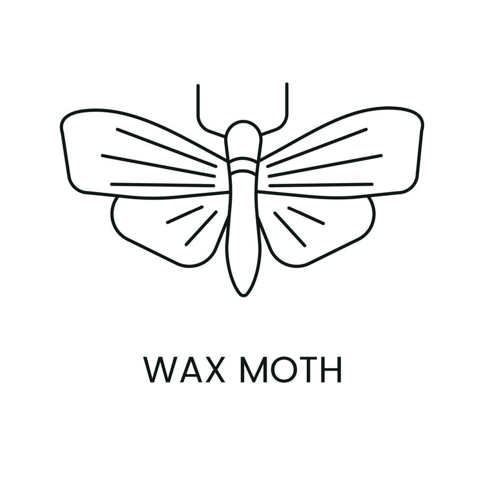 Wax moth linear icon in vector, illustration of honeycomb pest vector