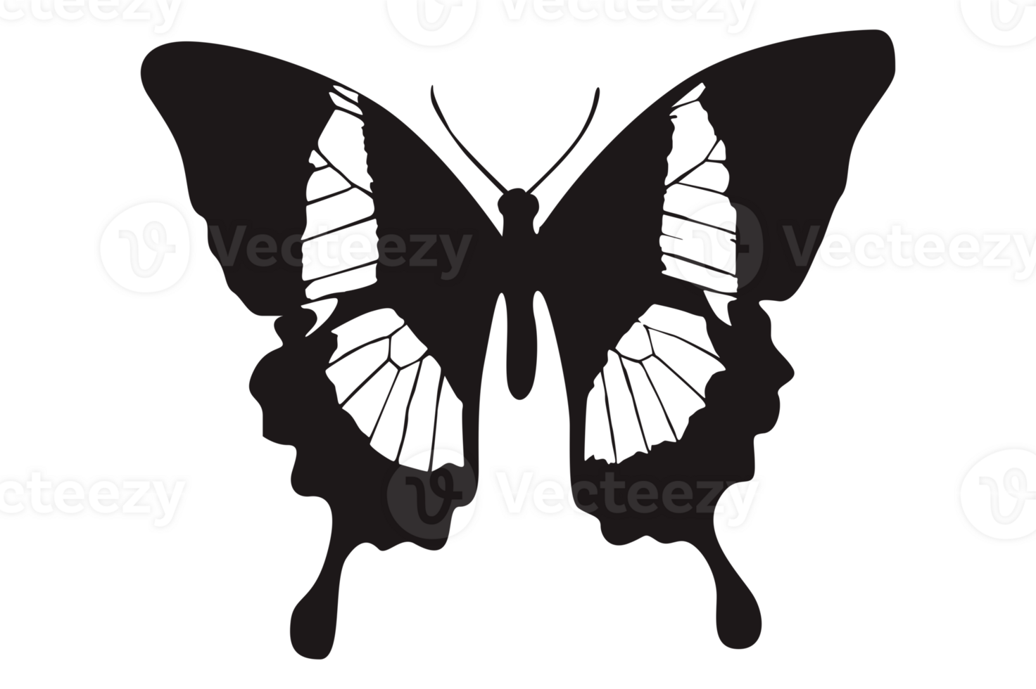 Black Butterfly On Transparent Background png