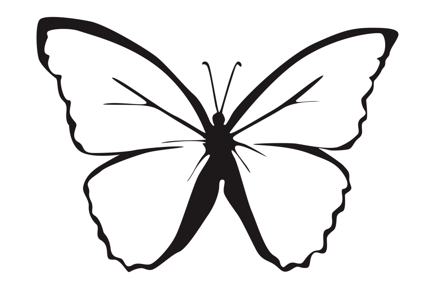 noir papillon sur transparent Contexte 23629727 PNG