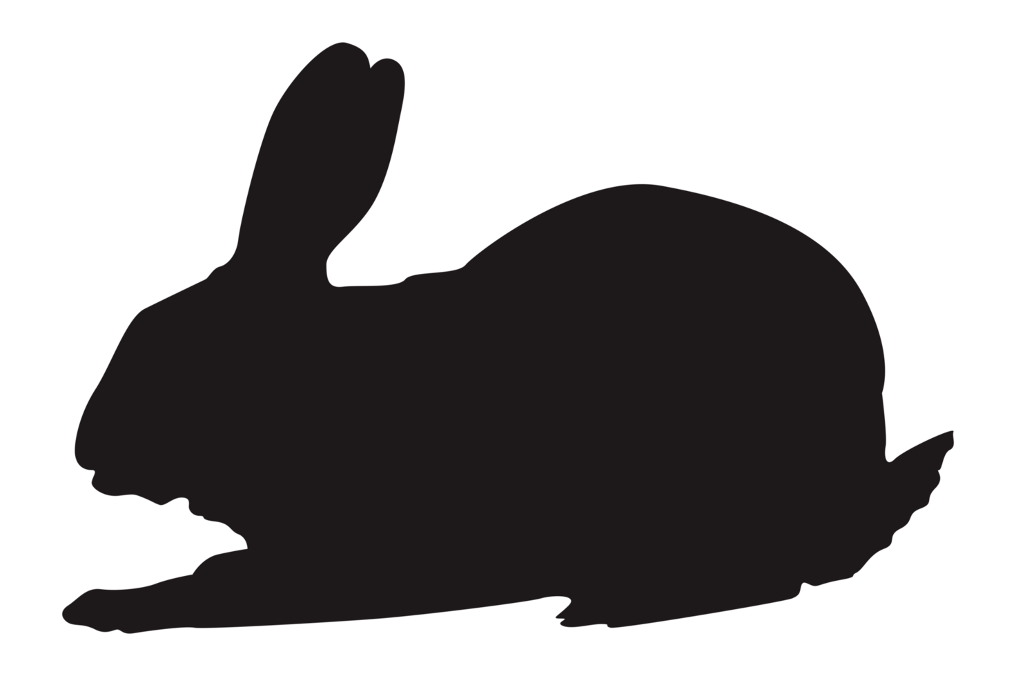 Rabbit Silhouette With Transparent Background png