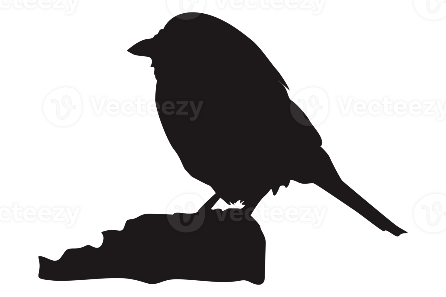 Perched Bird Silhouette On Transparent Background png