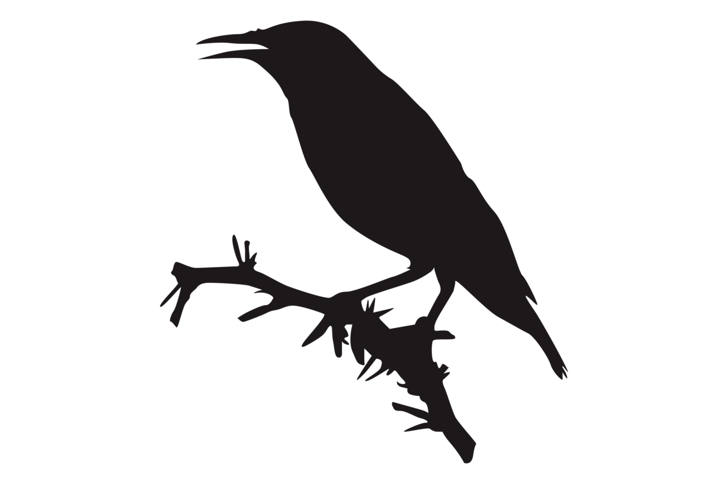 Perched Bird Silhouette On Transparent Background png
