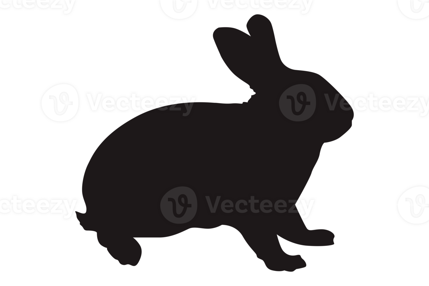 Rabbit Silhouette With Transparent Background png