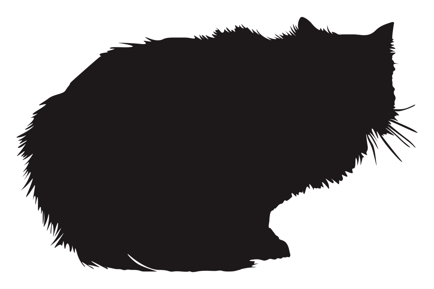 Cat Silhouette On Transparent Background png