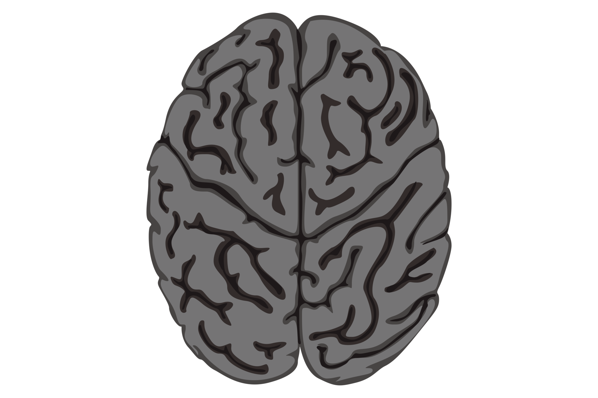 Human Brain With Transparent Background 23629753 PNG