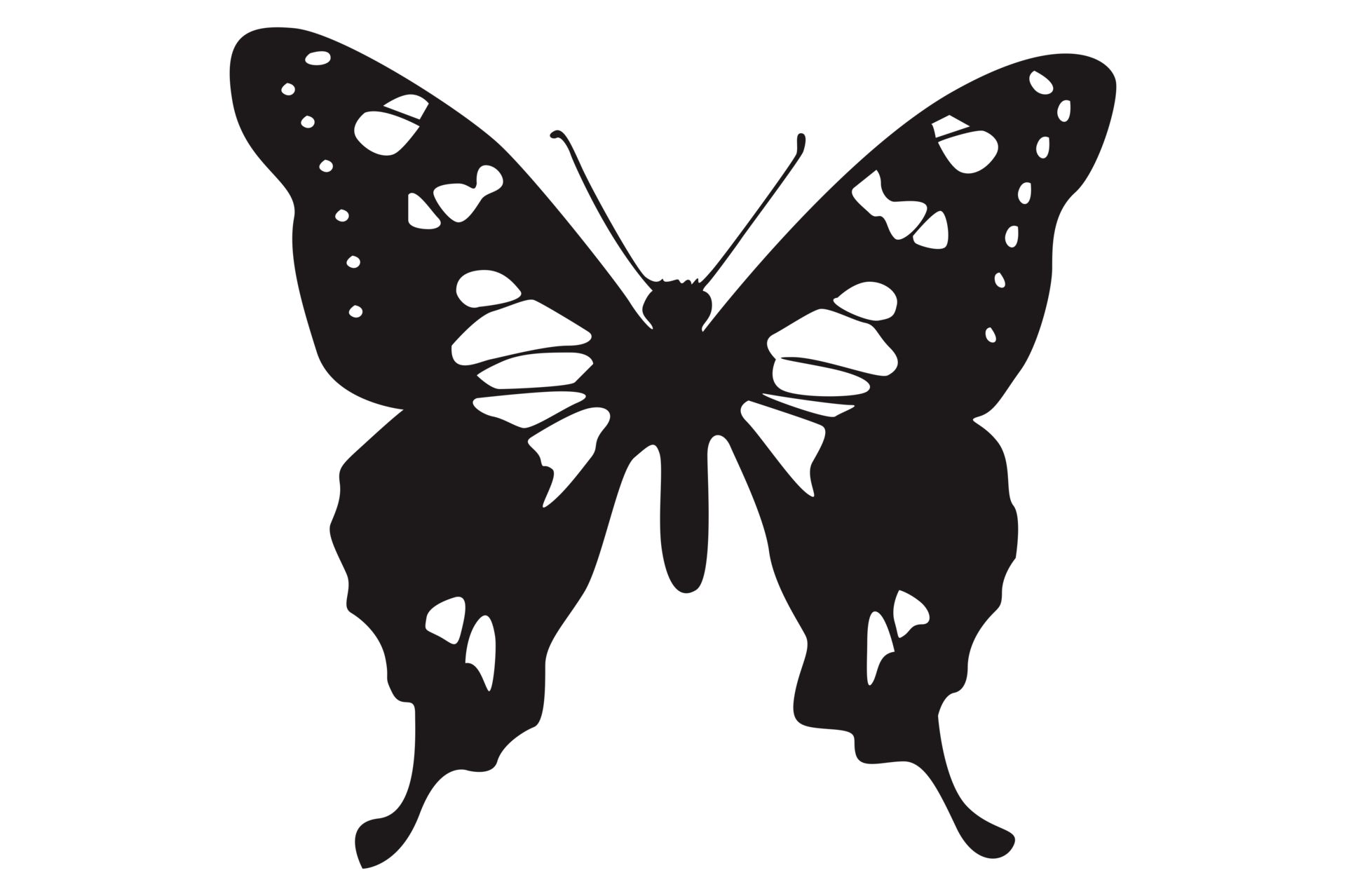 Black Butterfly On Transparent Background 23629861 PNG